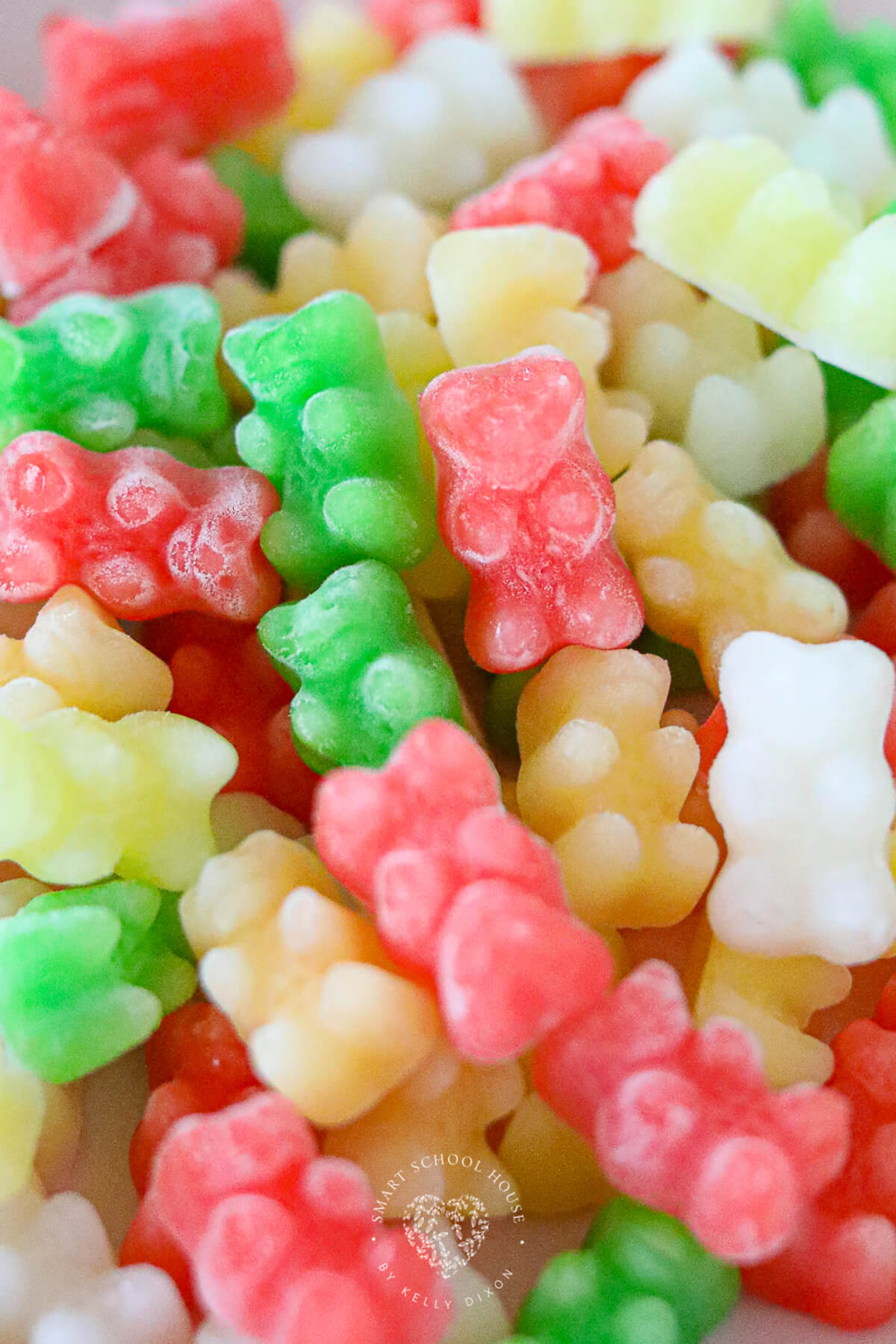 smart school house frozen gummy bears