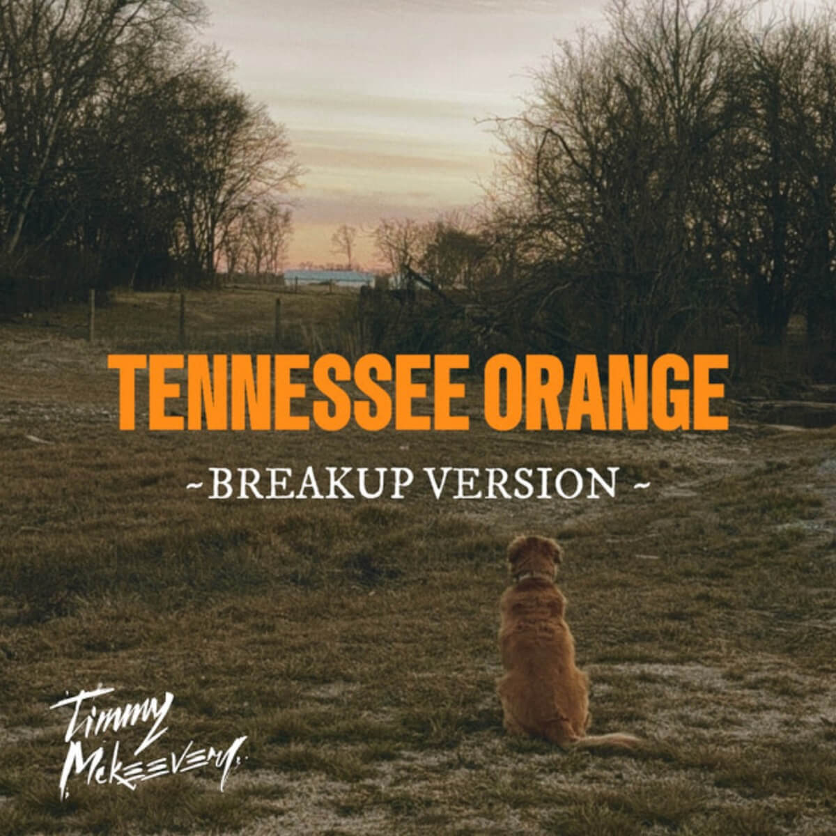 Timmy McKeever Tennessee Orange (Breakup Version) cover art