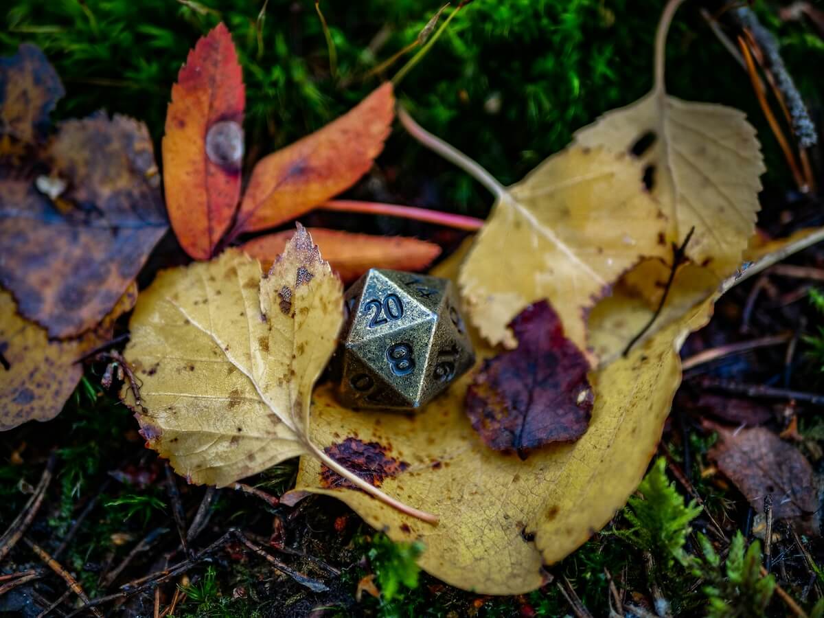 Unsplash: D20 die on leaves by Matilda Krantz