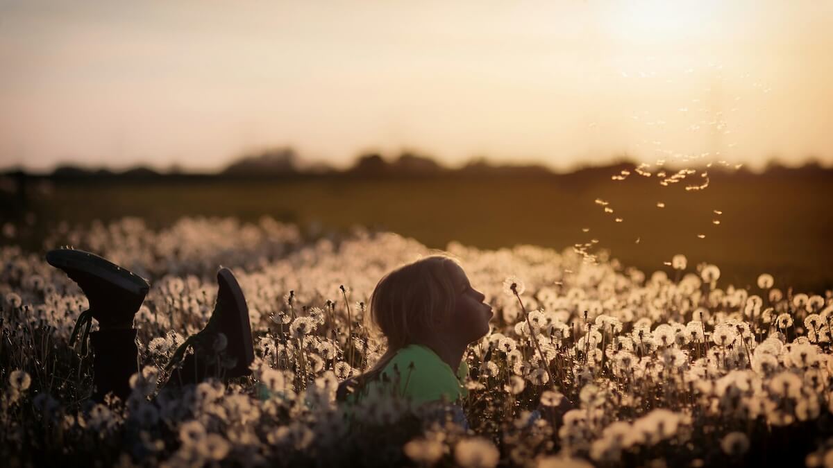 Unsplash: Girl making wish on dandelion by Johannes Plenio