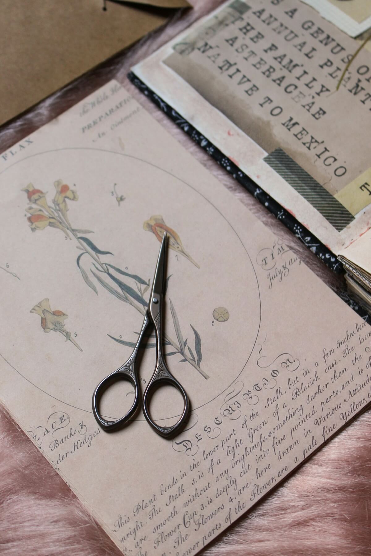 Unsplash: Junk journaling and scissors by Melanfolia