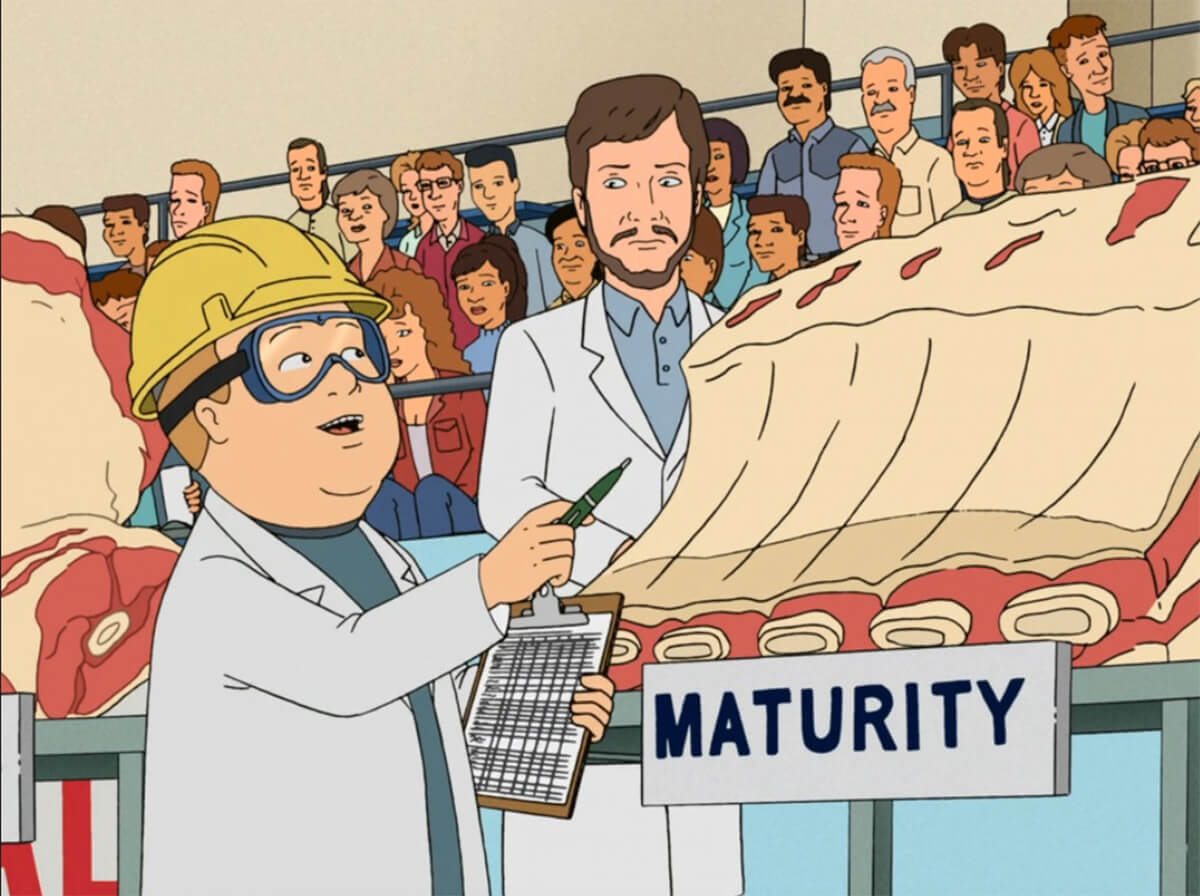 King of the Hill: Bobby Hill meat judging contest