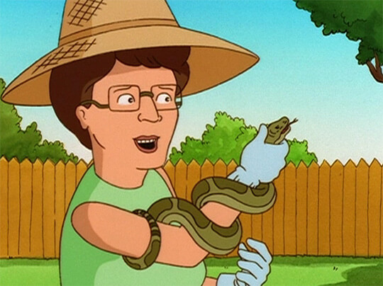 King of the Hill: Peggy Hill with bullsnake from garden