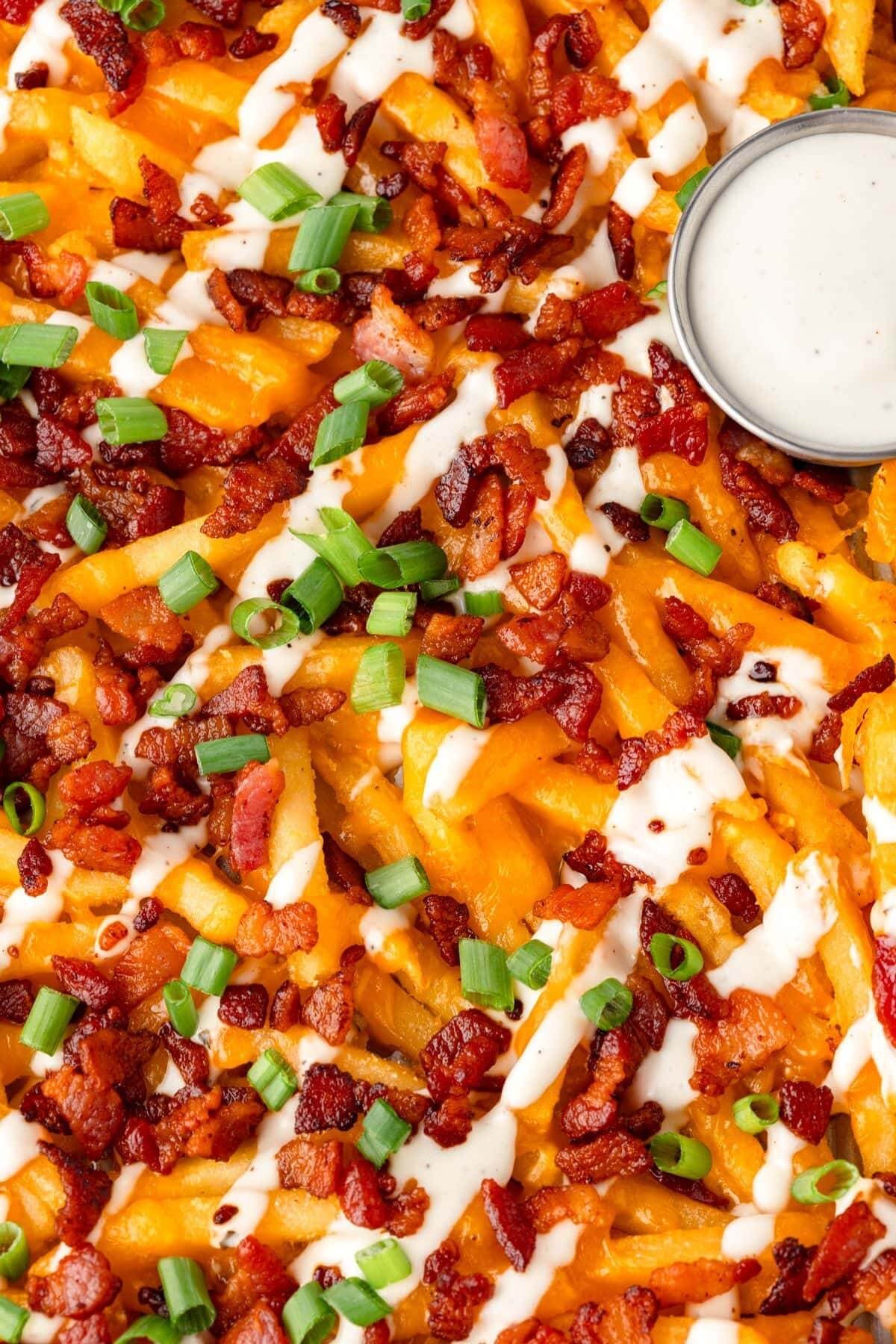 little chef within loaded french fries