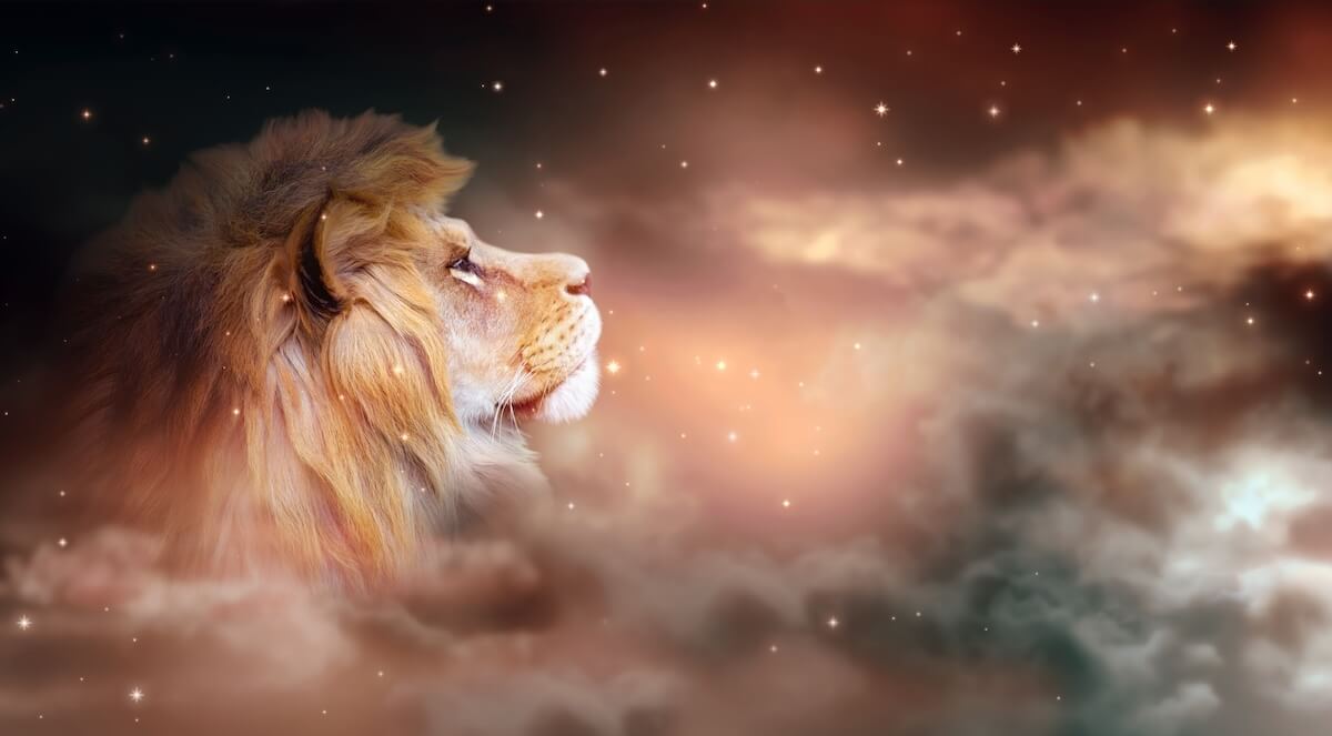 Shutterstock: African lion looking up on stars at night. Proud dreaming fantasy leo on dark dramatic deep starry sky background, abstract ghostly profile portrait of majestic animal.