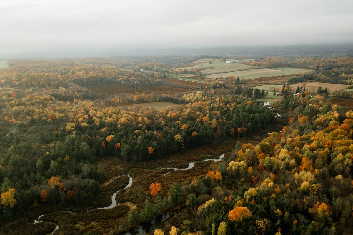 Unsplash: Aerial view of Pennsylvania nature by Donnie Rosie