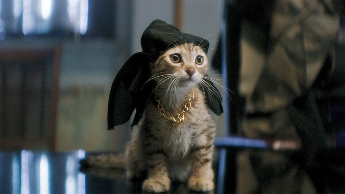 Keanu (2016) cat