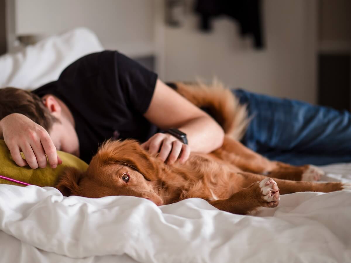 Unsplash: Man taking a nap next to dog by Jamie Street