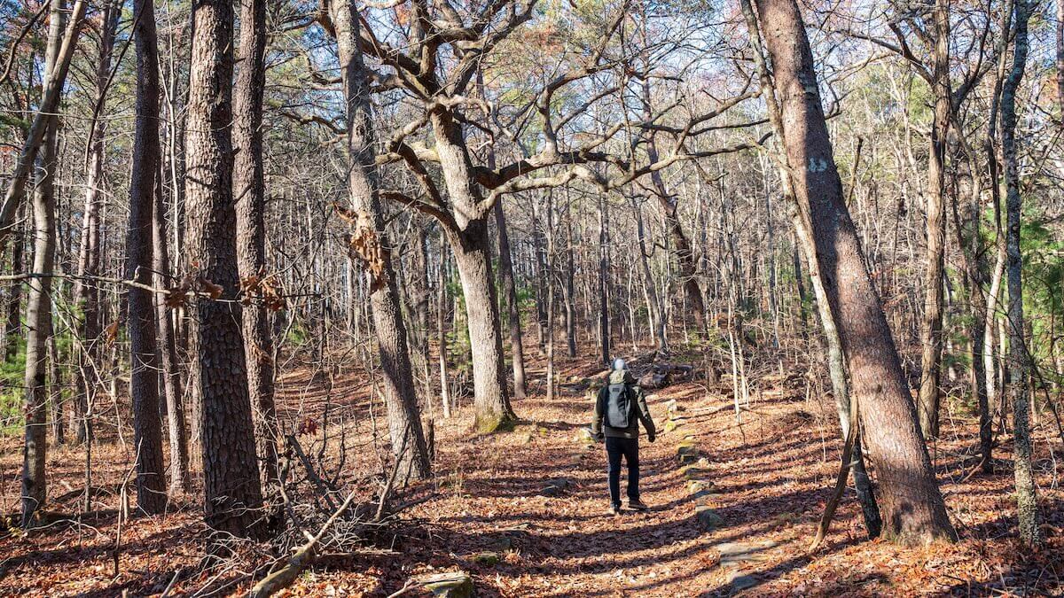 Shutterstock: A man is hiking at Fort Mountain Trails, Chatsworth, GA, US. The person seems soaking in the autumn vibe of red, yellow and brown leaves. It is chilly, and or sometimes rainy during the fall.