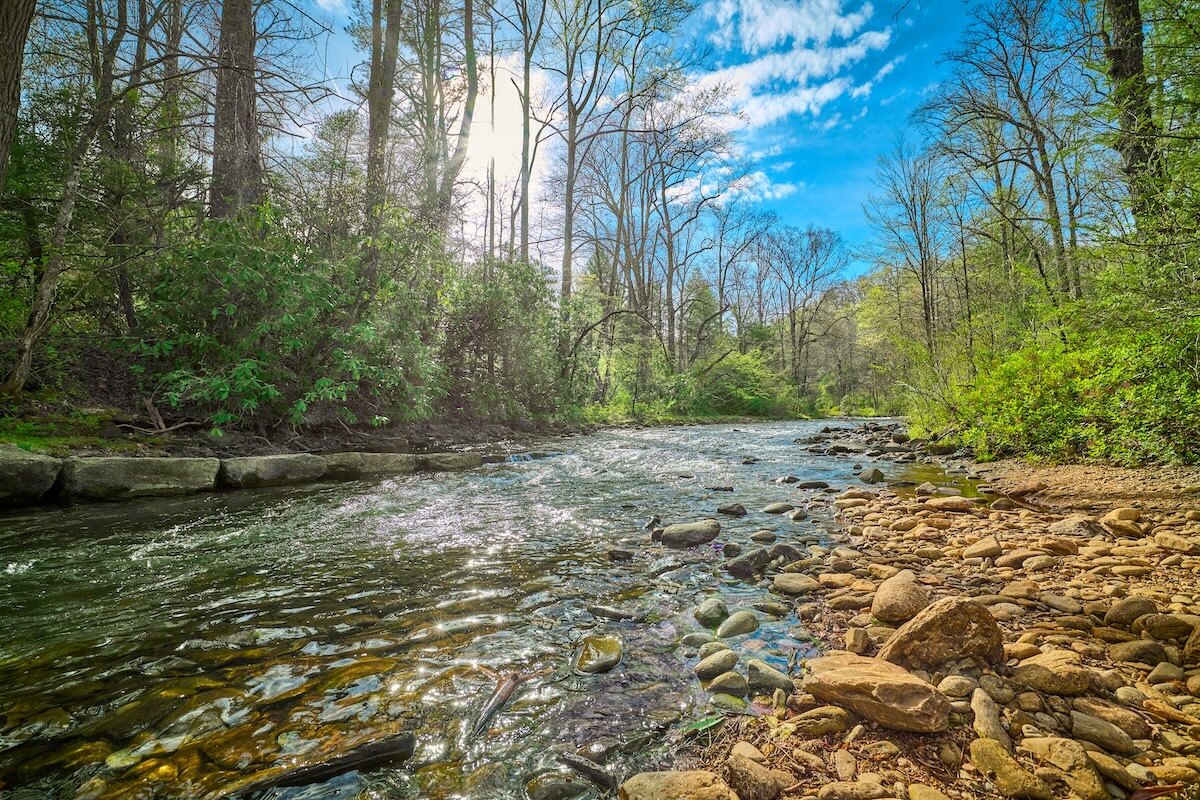 Shutterstock: Mills River in Pisgah National Forest North Carolina.