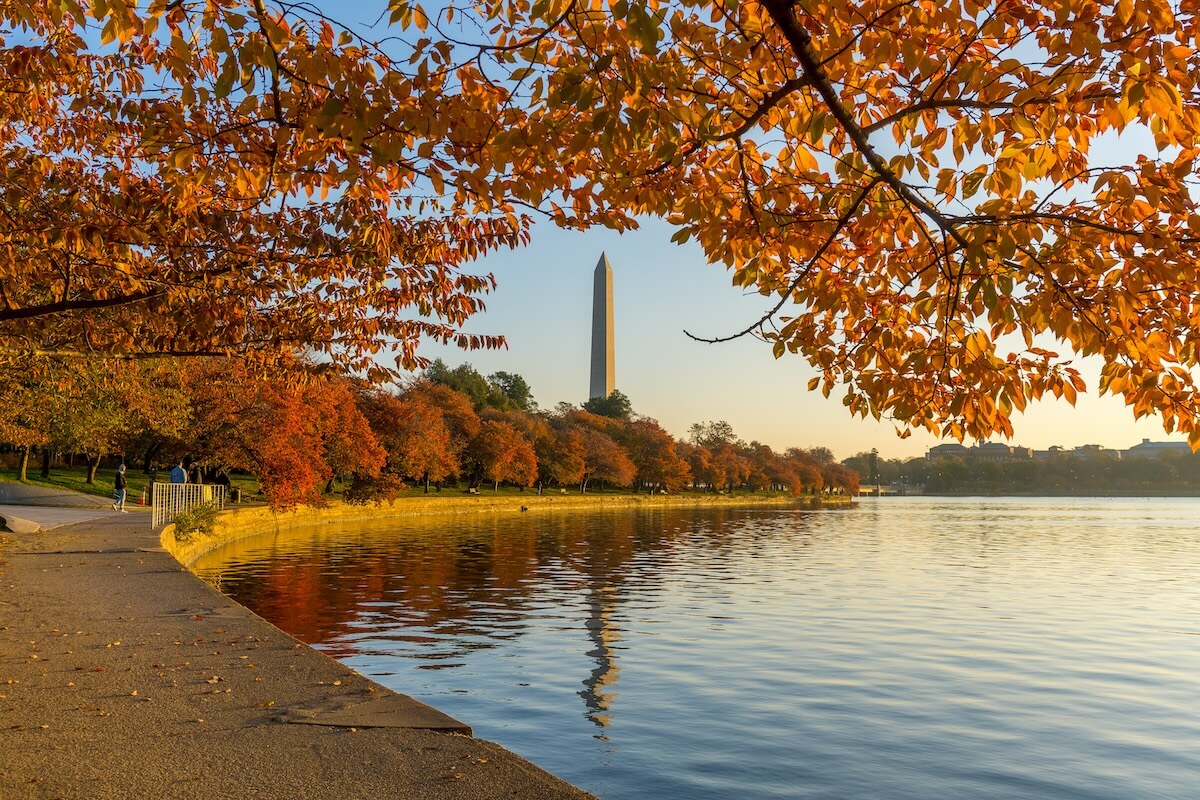 Shutterstock: Fall in Washington,DC with orange trees at peak and the Washington Monument reflected in the Tidal Basin