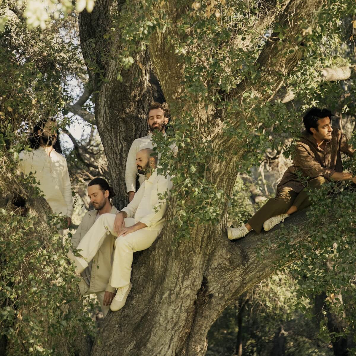 Young the Giant: In the Open Volume one press image