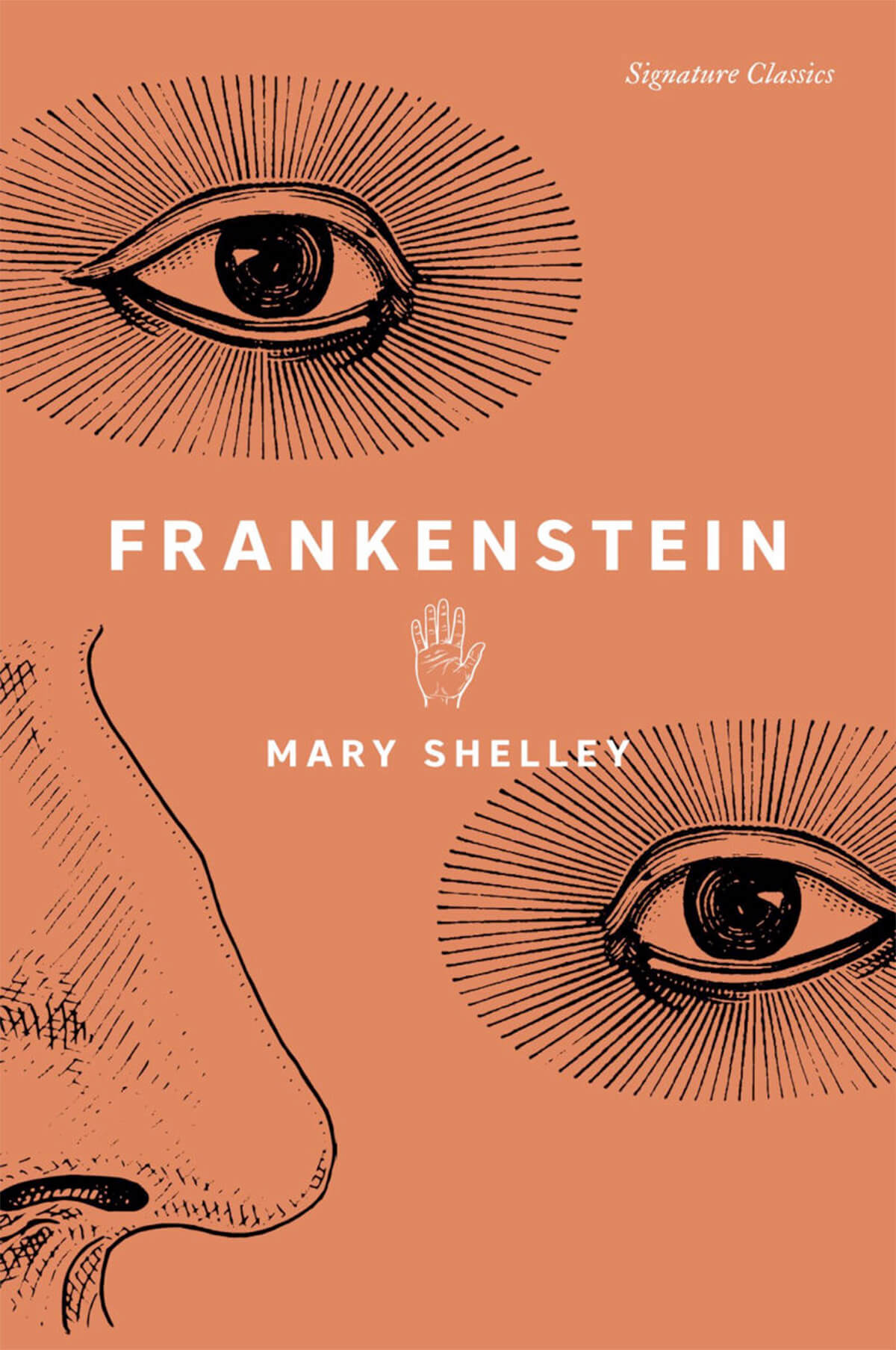 Frankenstein by Mary Shelley Signature Classics book cover