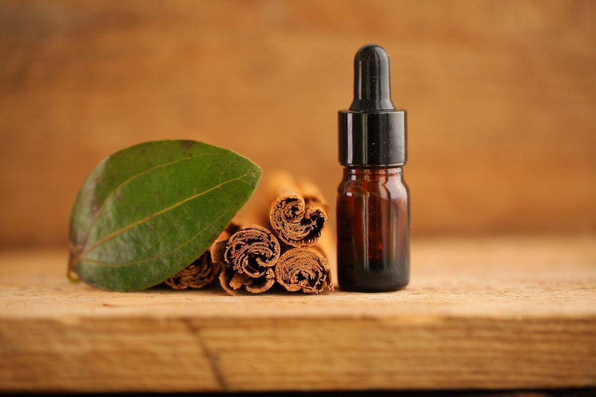 Shutterstock: cinnamon leaf and tree bark. cinnamon essential oil in a bottle